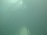 2012-02-19 10-07-41 Ludo